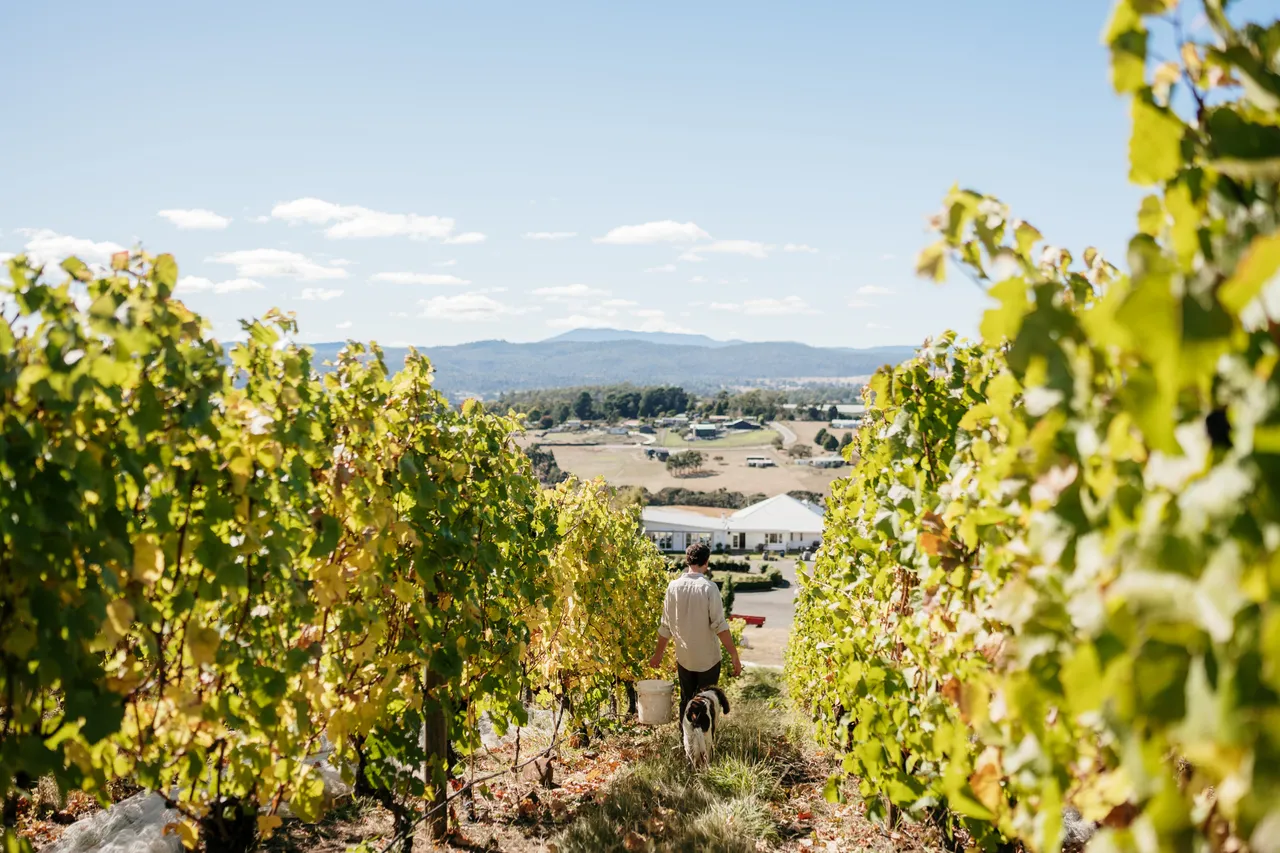 Evenfall Winery