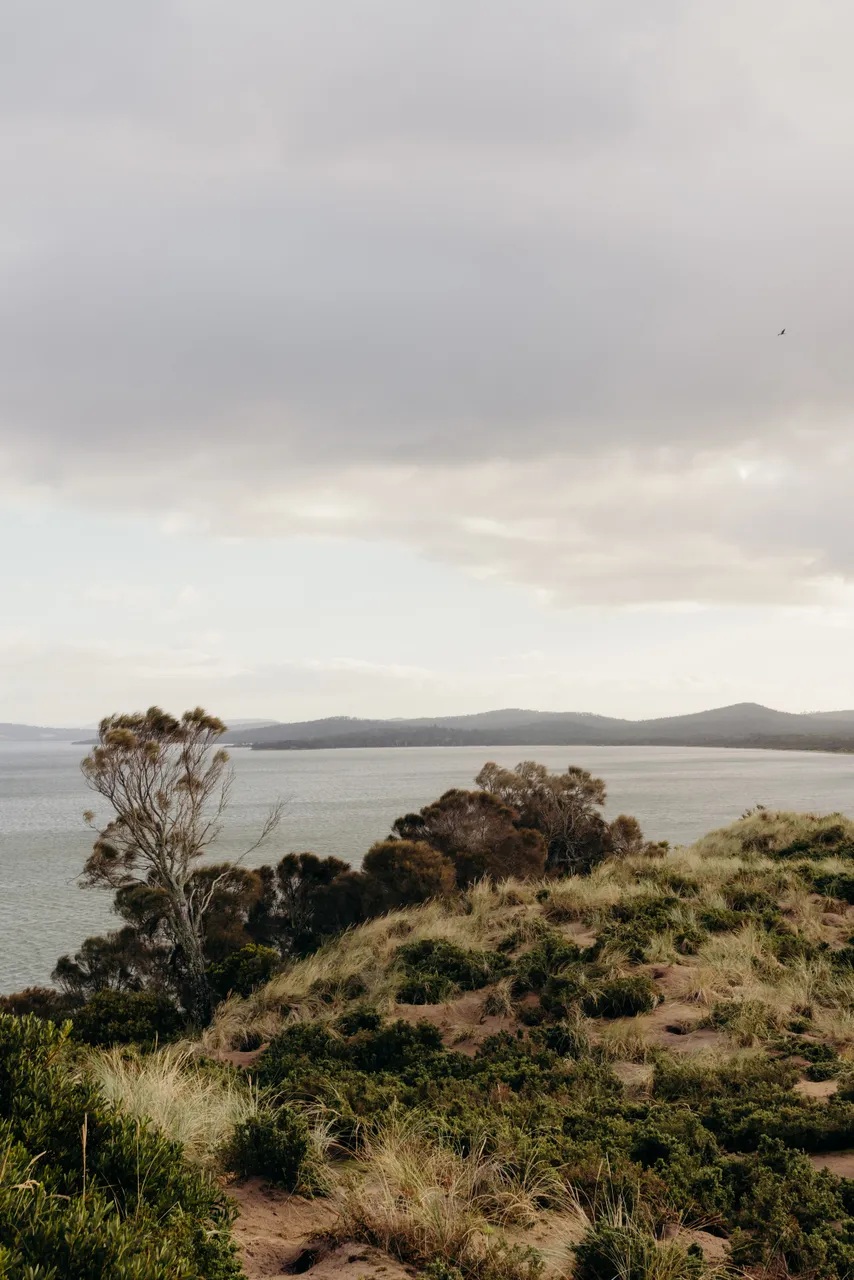 Truganini Lookout
