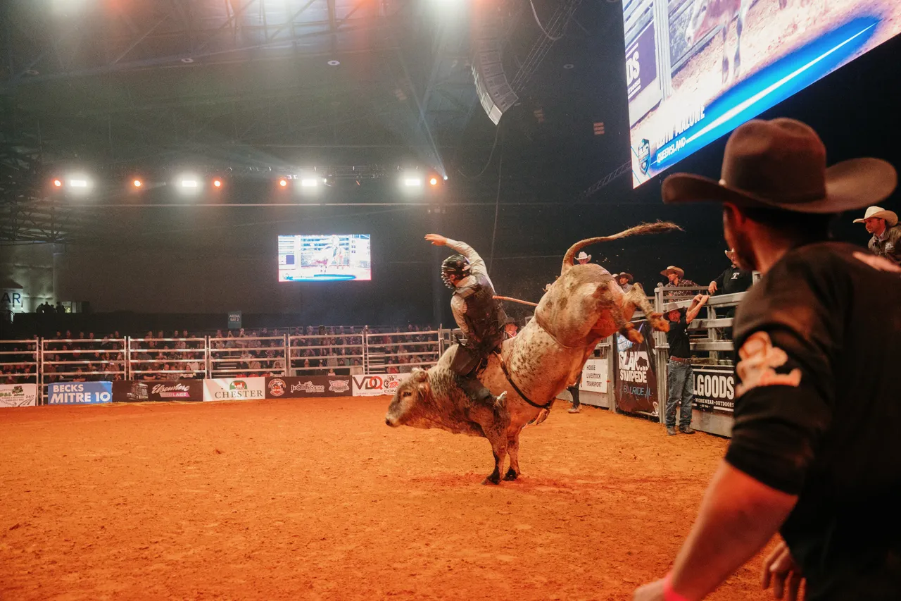 Bull Riding at the Island Stampede Rodeo