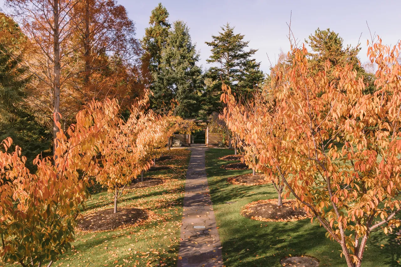 Royal Tasmanian Botanical Gardens