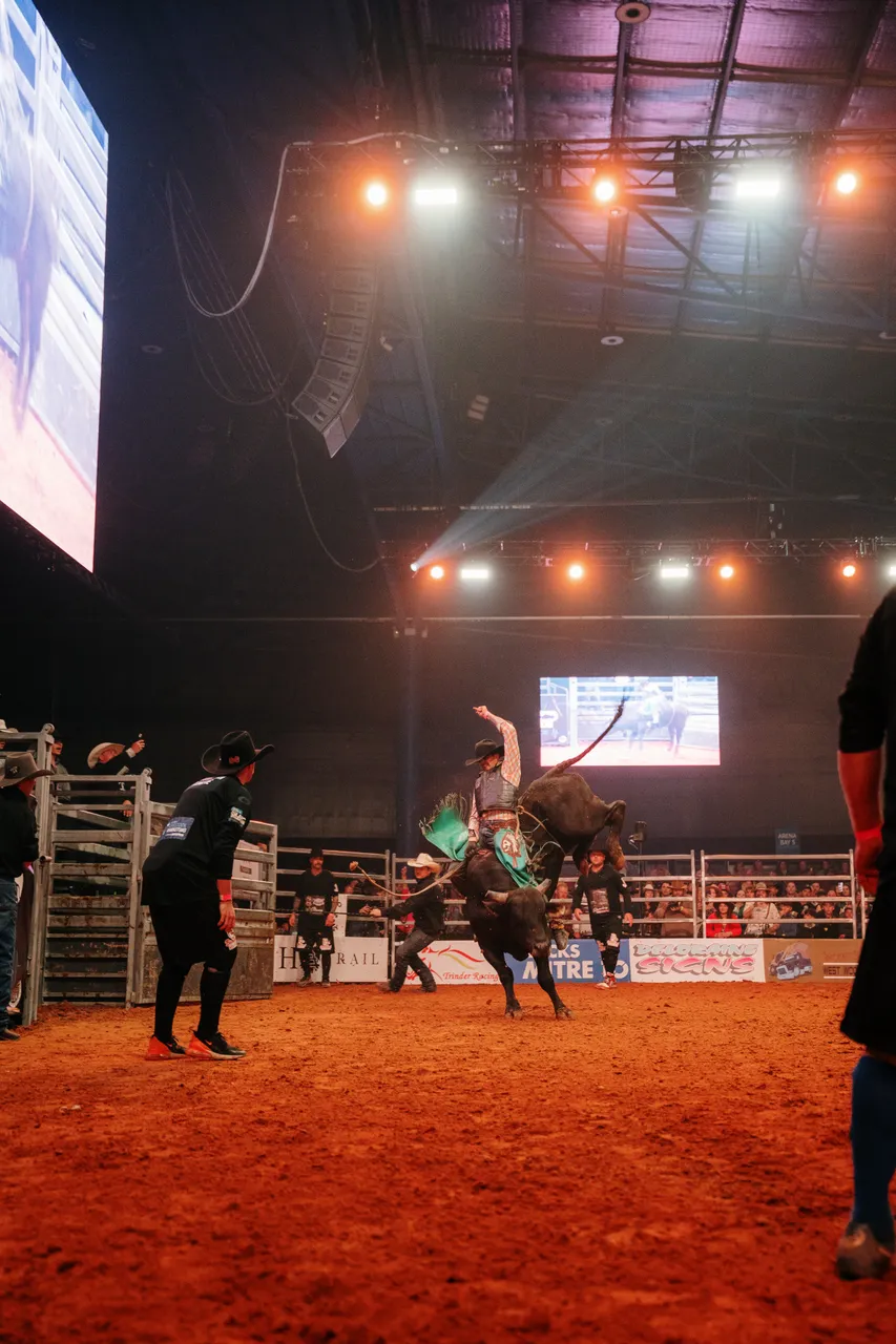 Bull Riding at the Island Stampede Rodeo