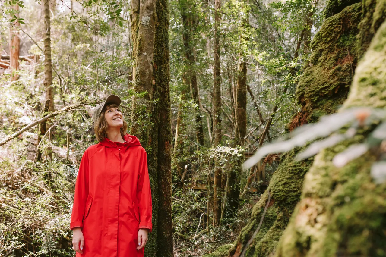 Frenchmans Cap Track