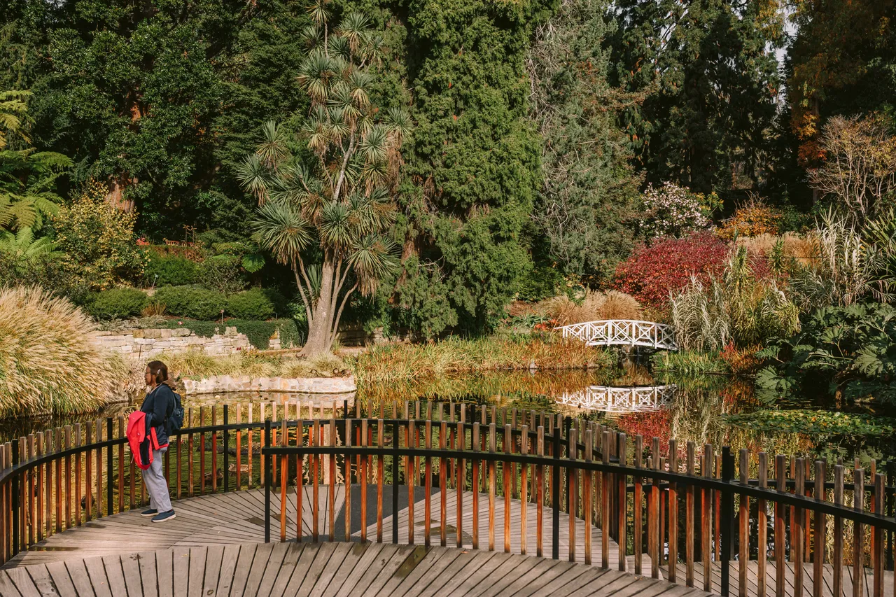 Pond at the Royal Tasmanian Botanical Gardens