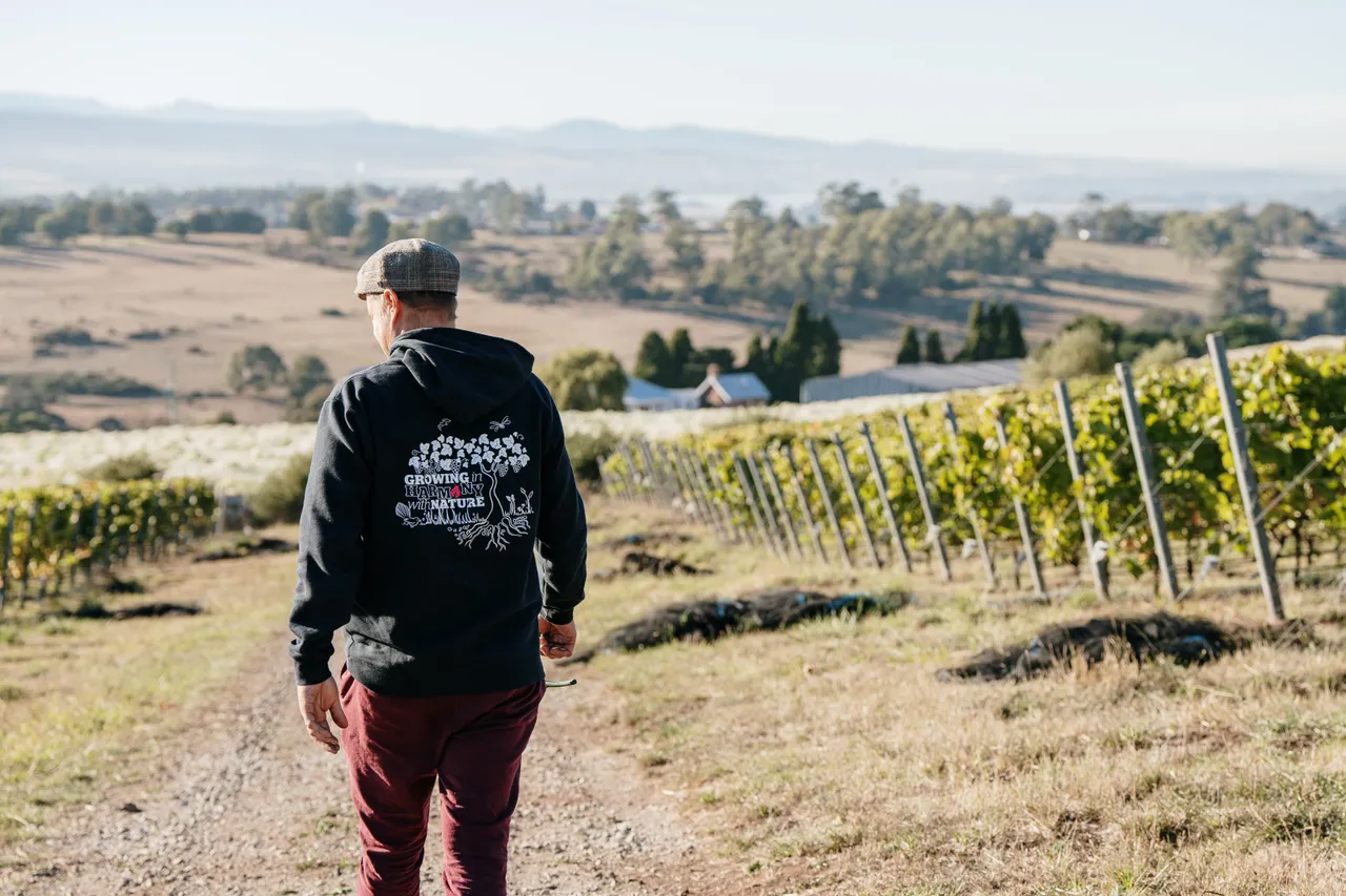 Utzinger Wines