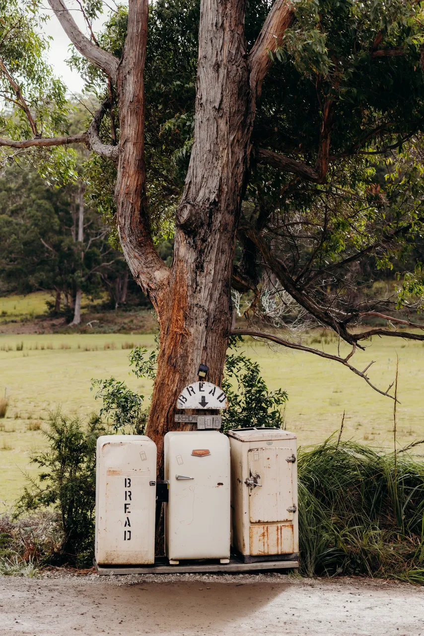 Bread Fridge Bruny Island