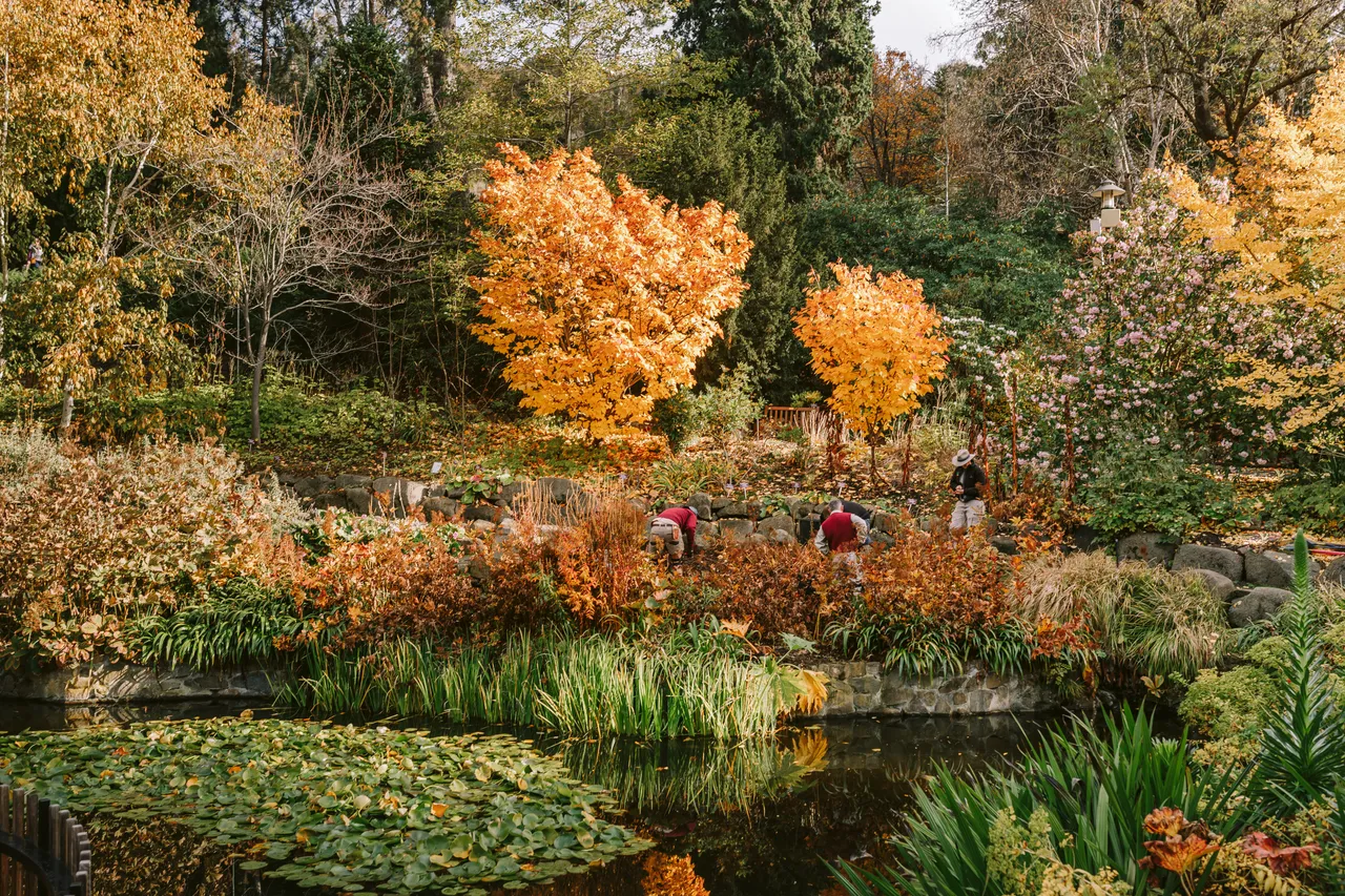 Gardeners at the Royal Tasmanian Botanical Gardens