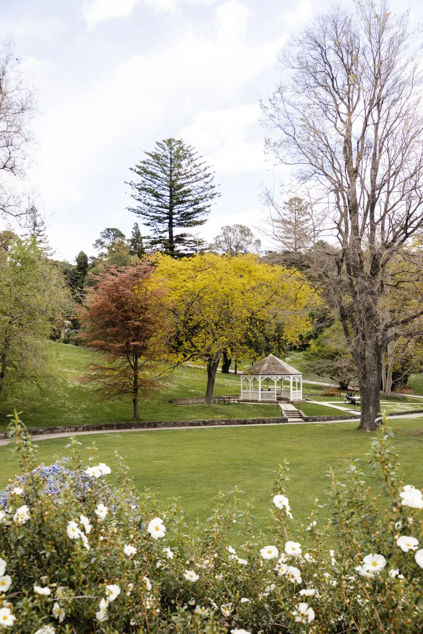 Royal Tasmanian Botanical Gardens