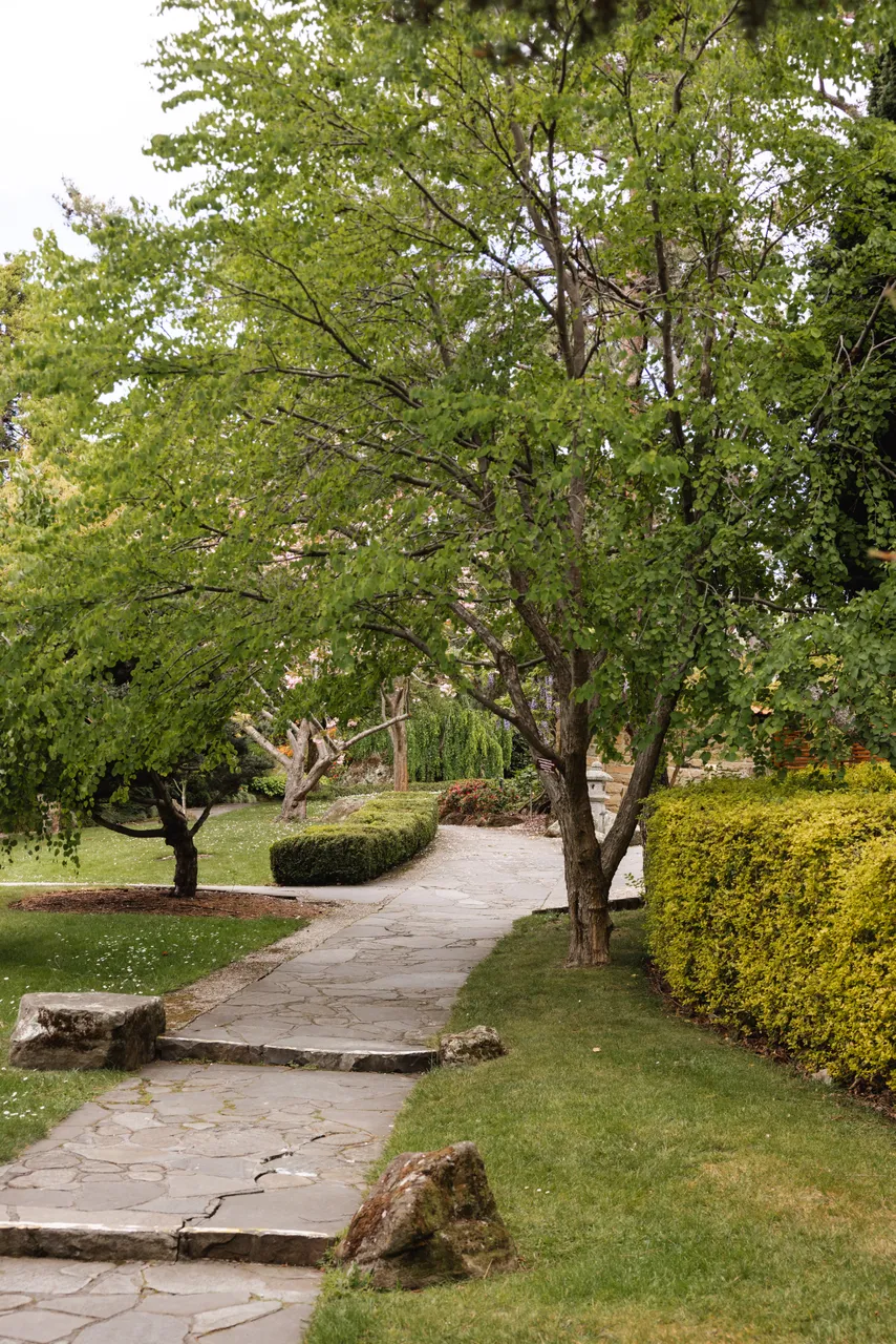 Japanese Garden at the Royal Tasmanian Botanical Gardens