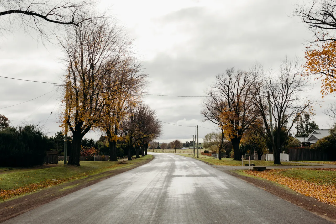 Ross Autumn Streetscape