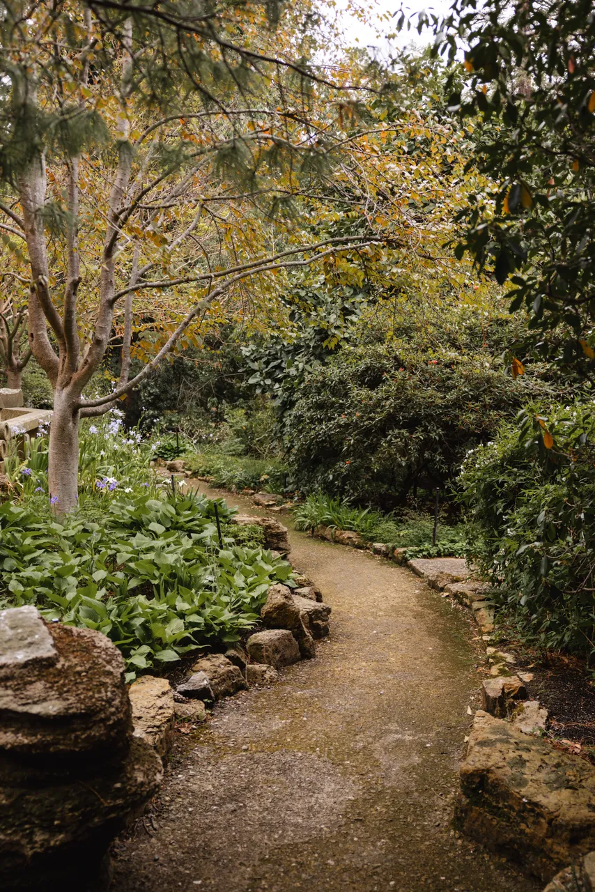 Royal Tasmanian Botanical Gardens