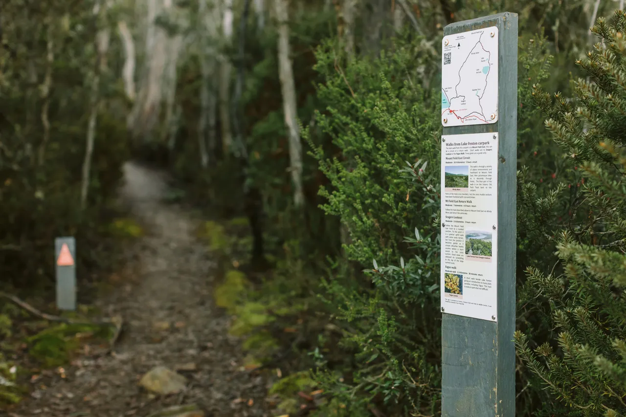 Mount Field Walking Track