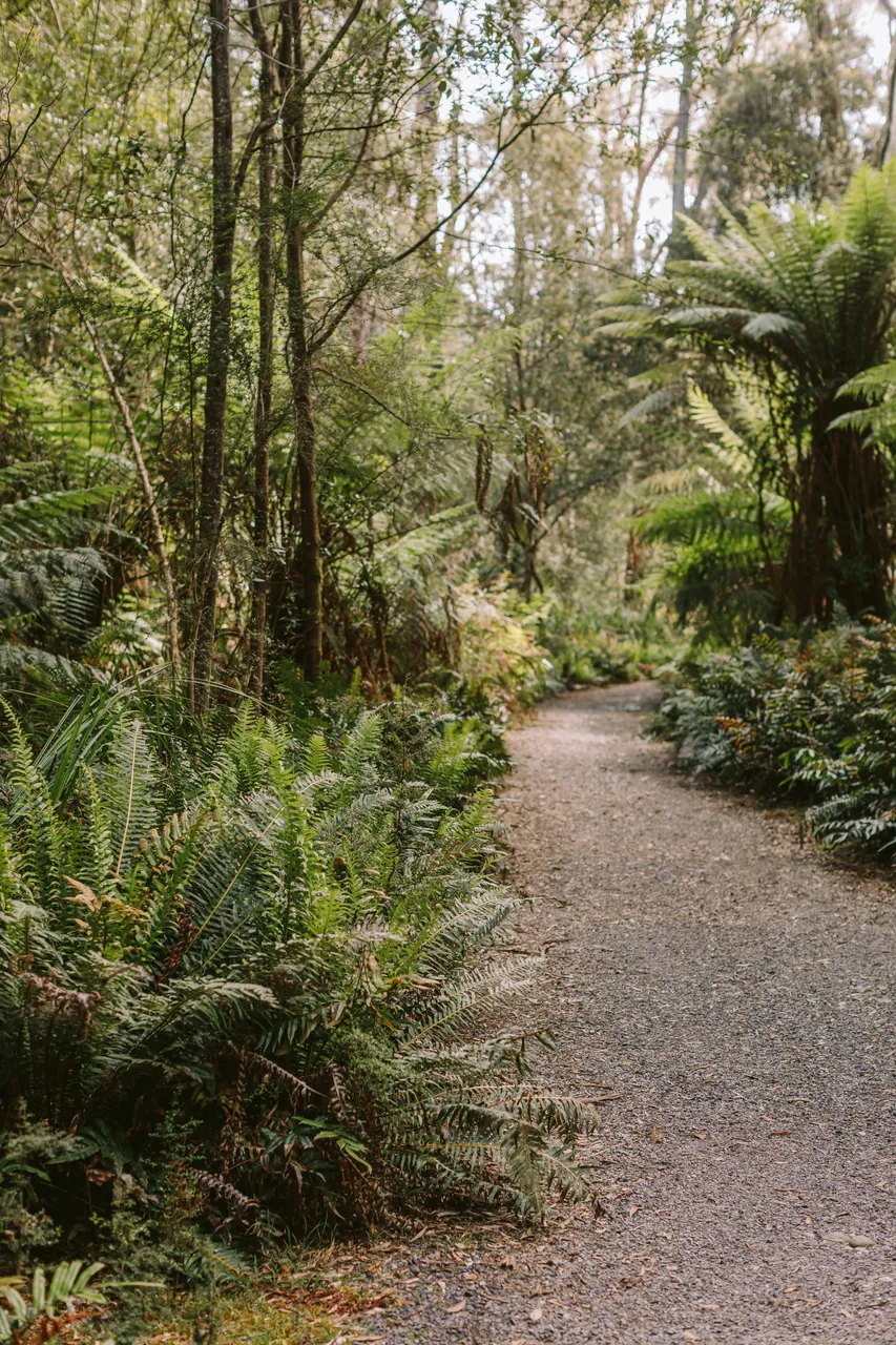Hogarth Falls Track Signage