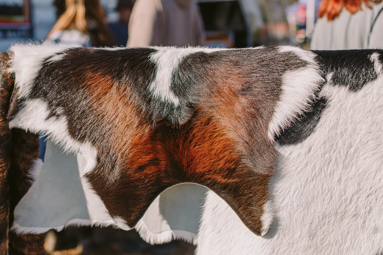 Cow Hide