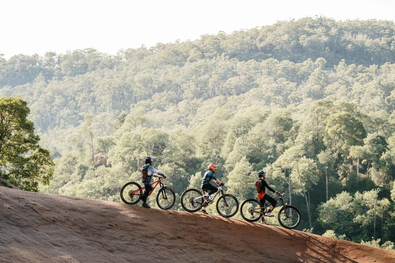 Three Mountain Bikers