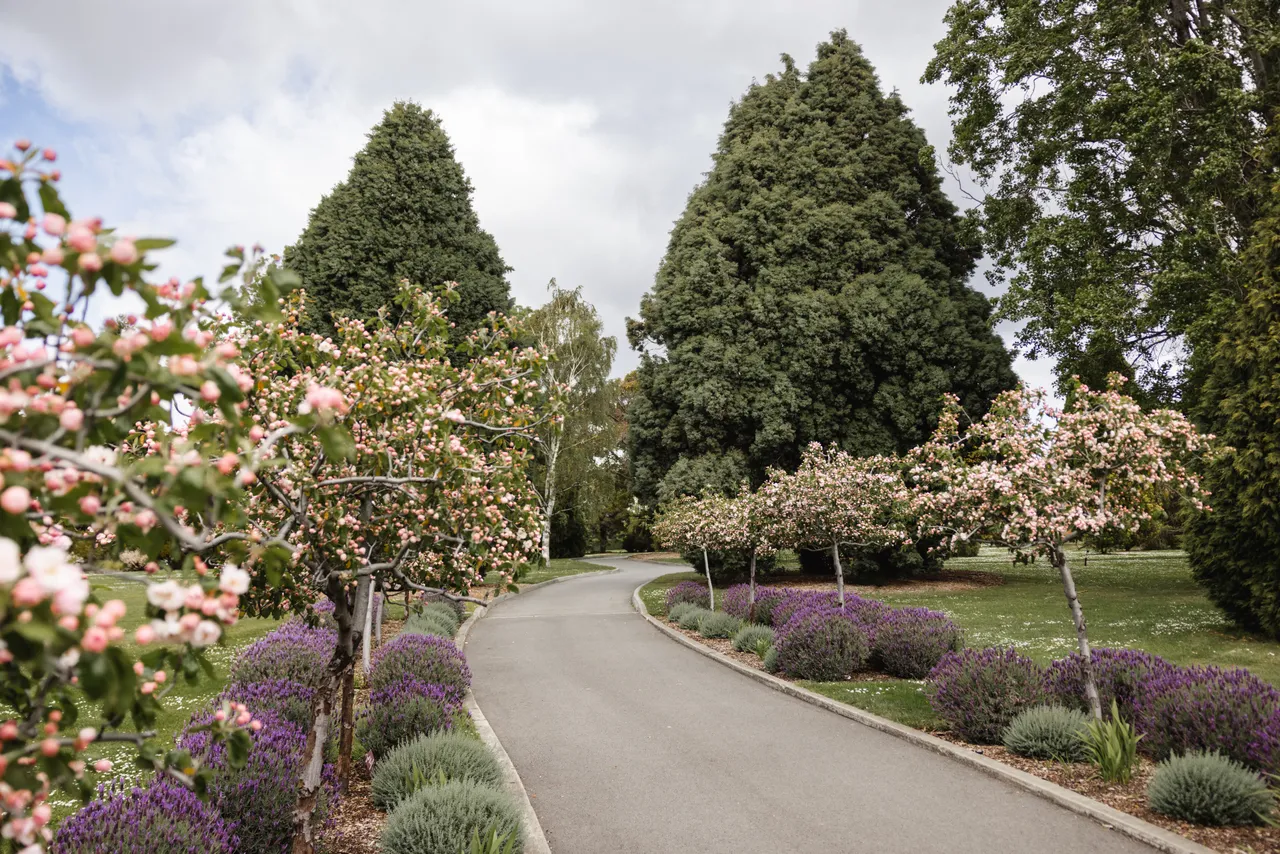 Spring Blooms at the Royal Tasmanian Botanical Gardens