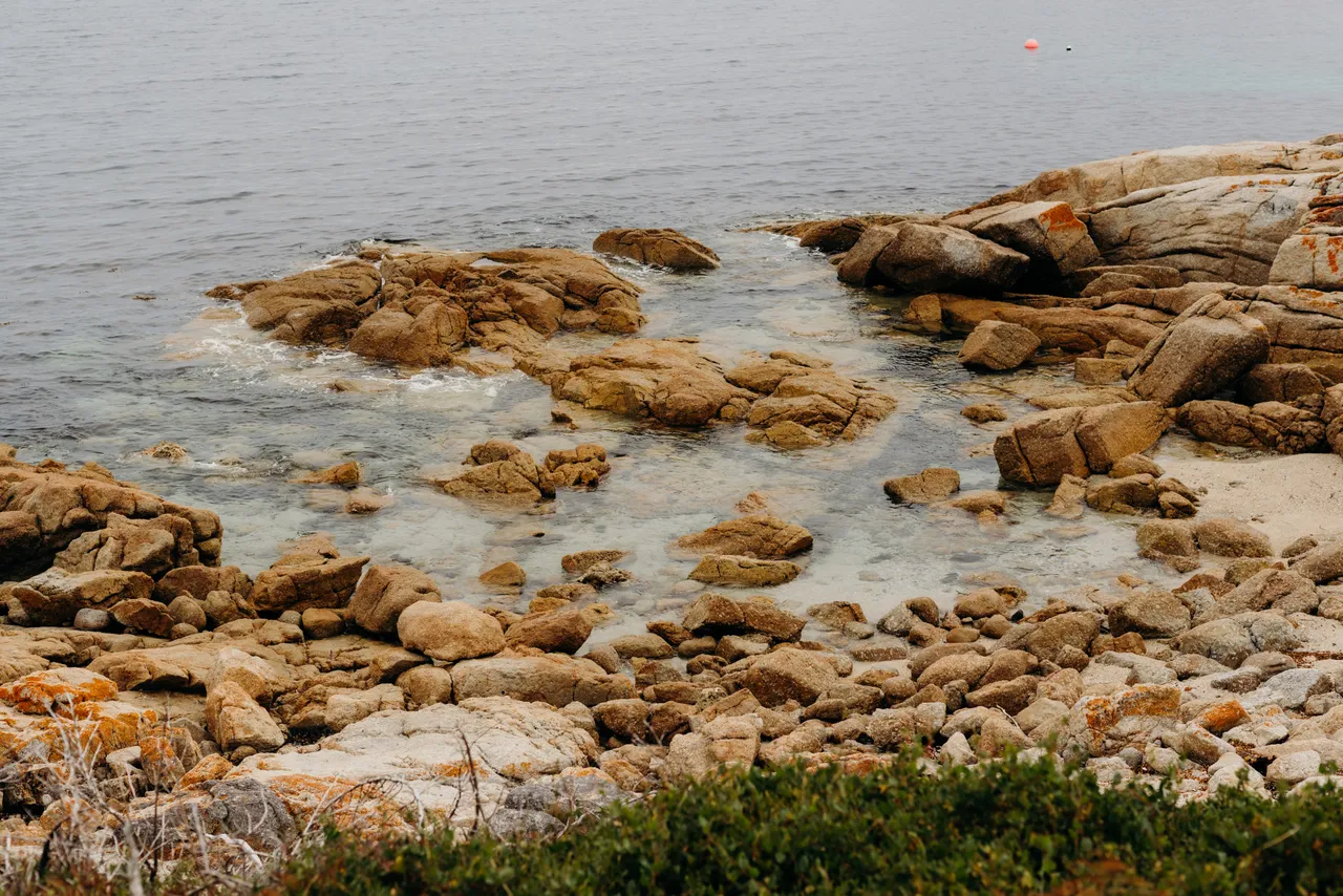 Bicheno Coastline