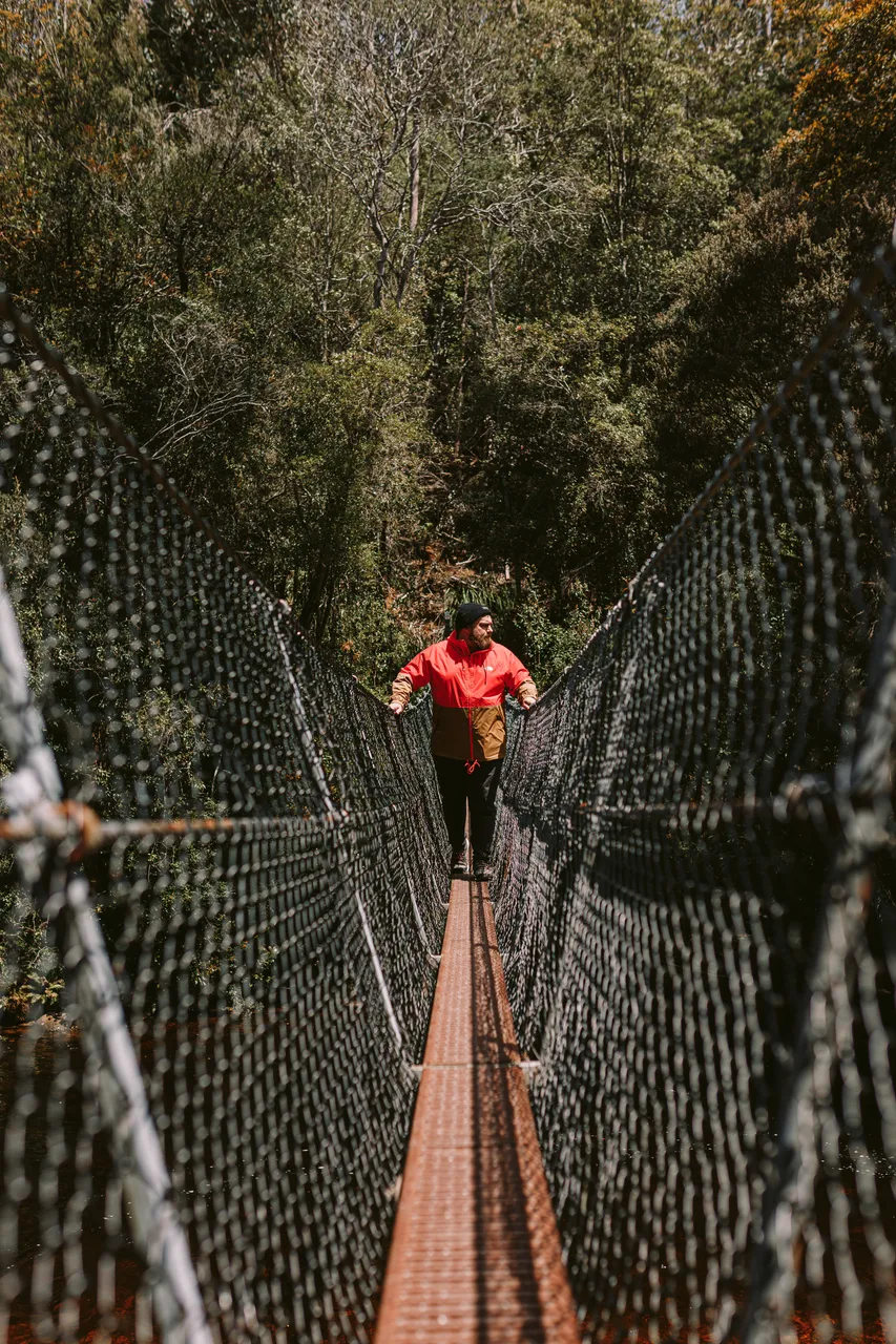 Frenchmans Cap Suspension Bridge