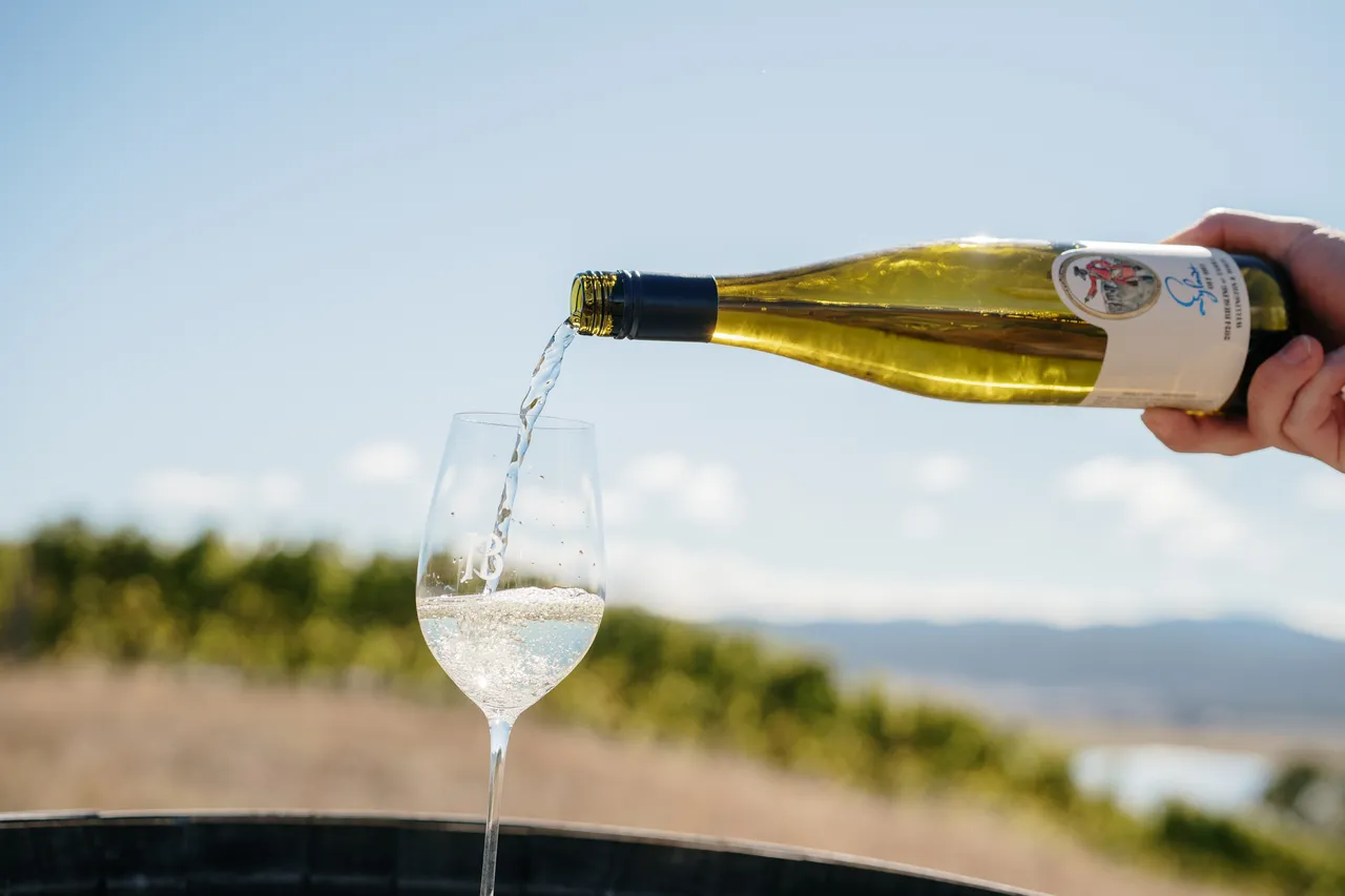 Wellington and Wolfe Wine