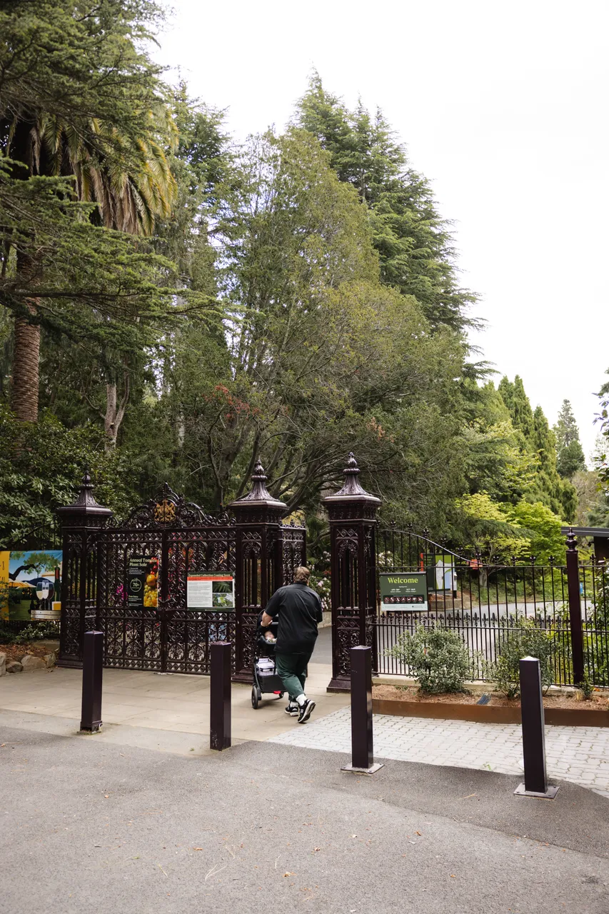 Entering the Royal Tasmanian Botanical Gardens
