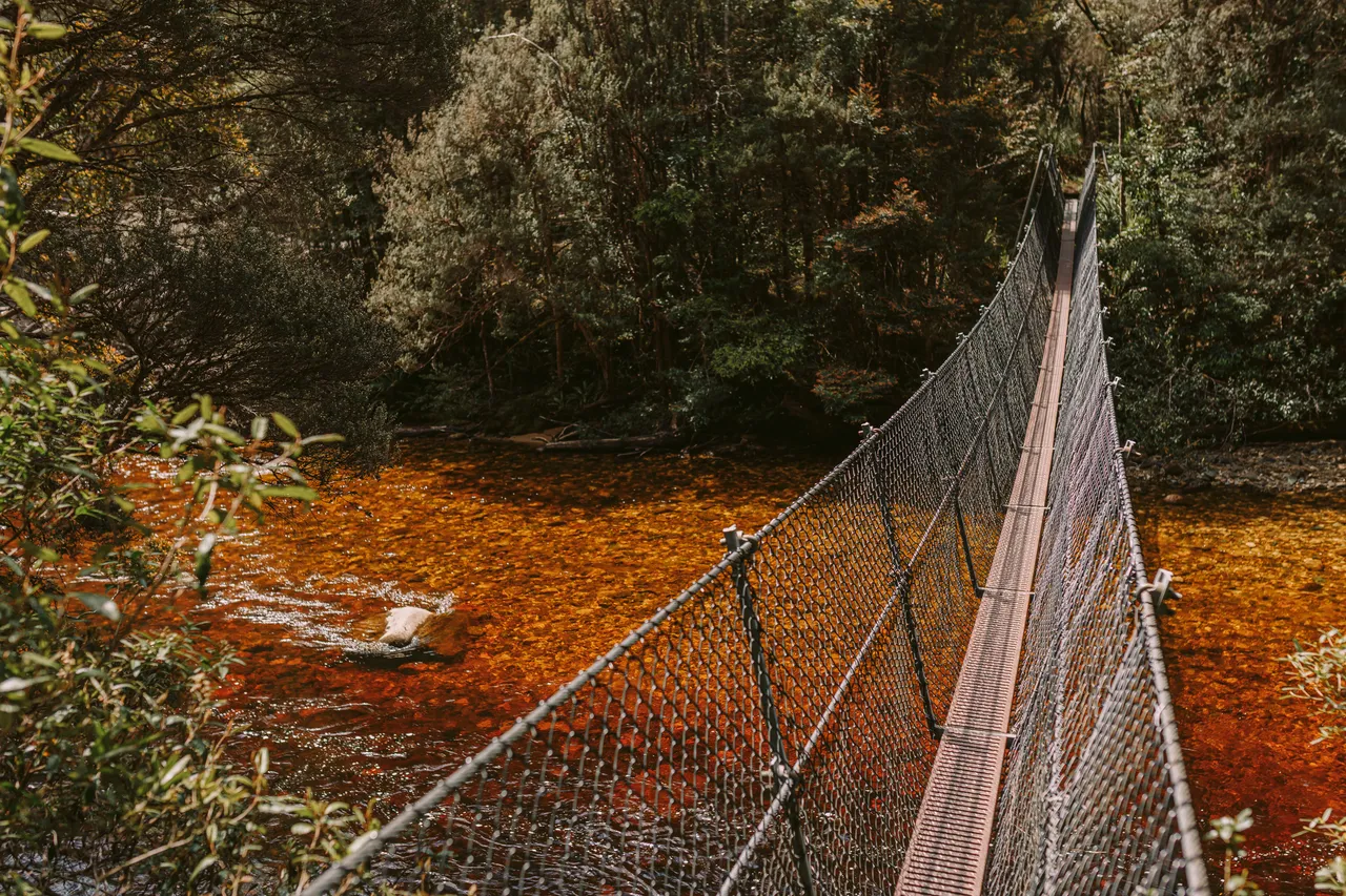 Frenchmans Cap Suspension Bridge