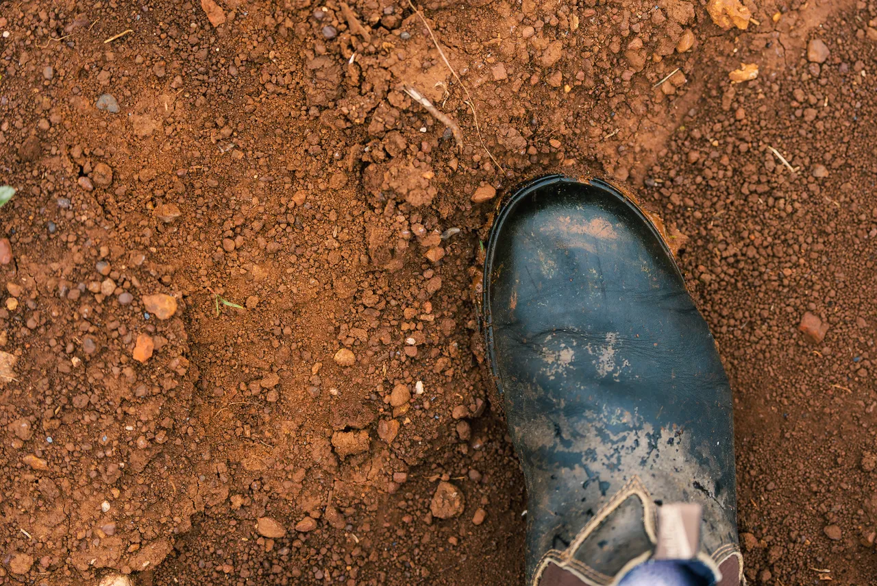 Blundstone Boot on Soil