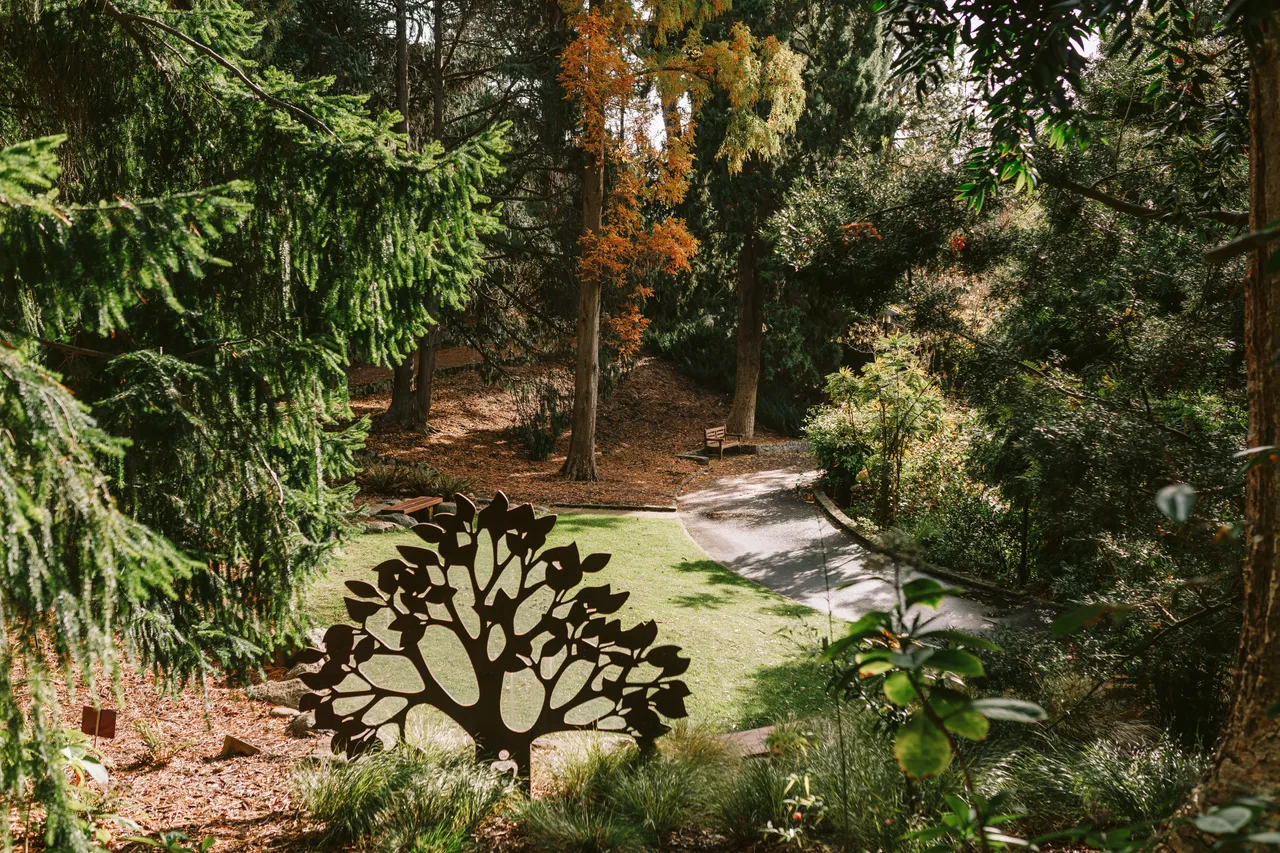 Royal Tasmanian Botanical Gardens