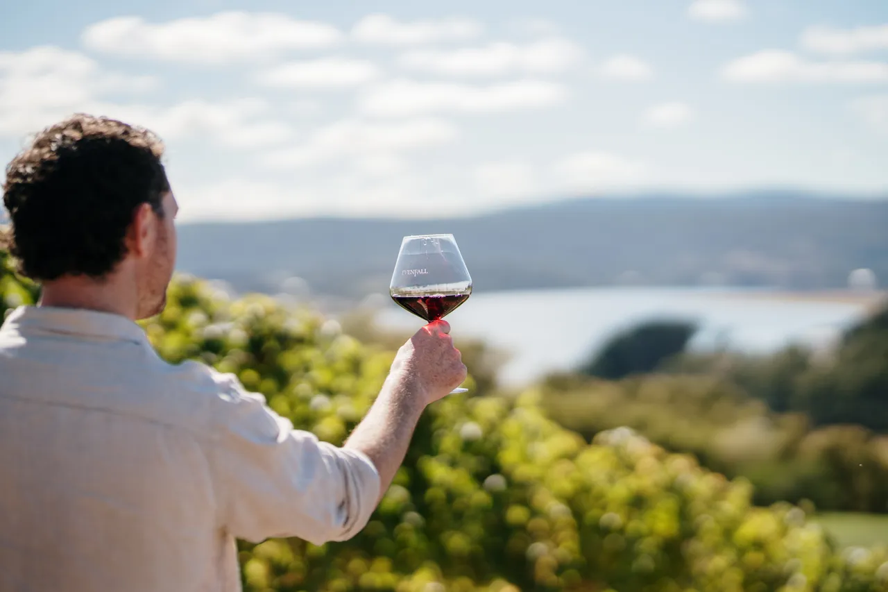 Wine Tasting at Evenfall Winery