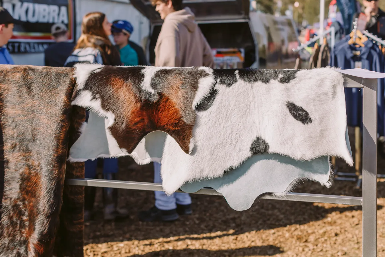 Cowhide on Fence