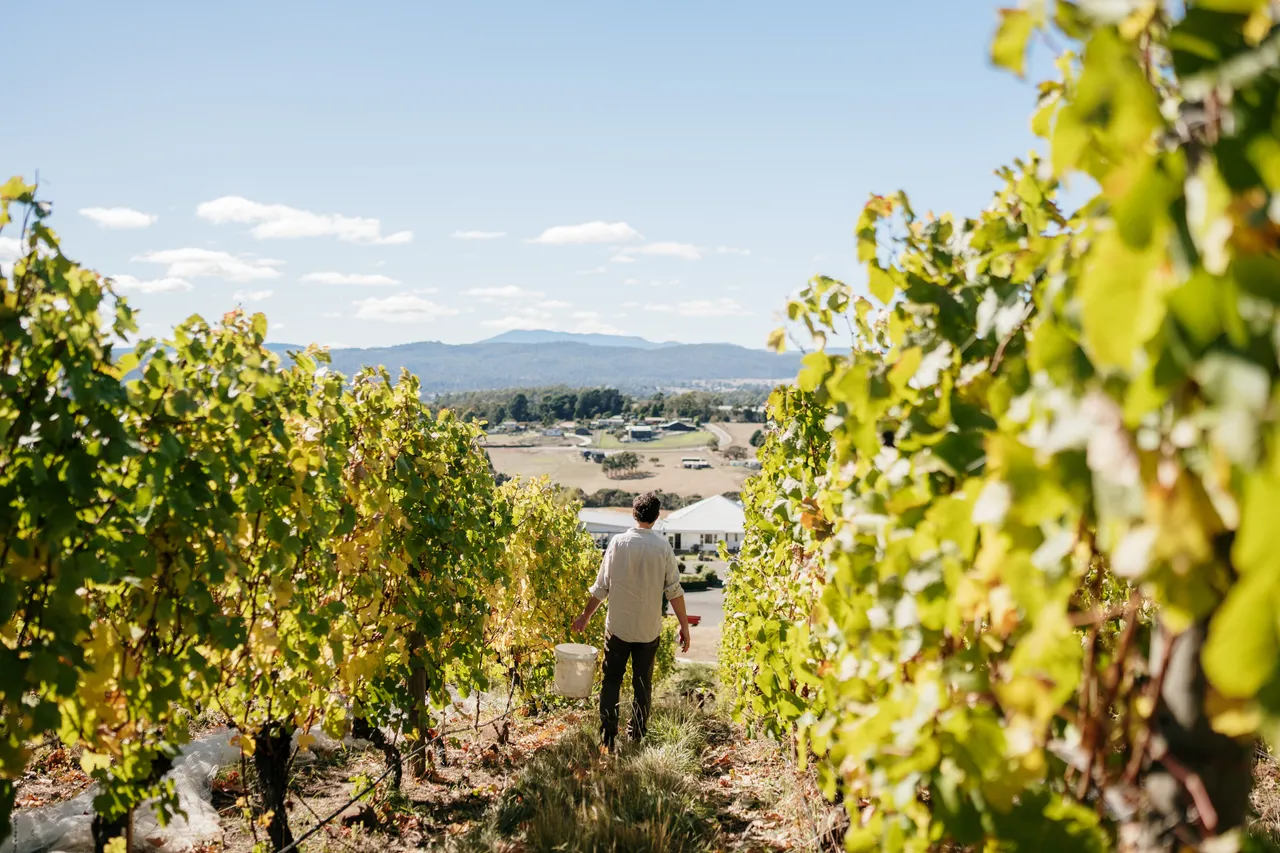 Evenfall Winery