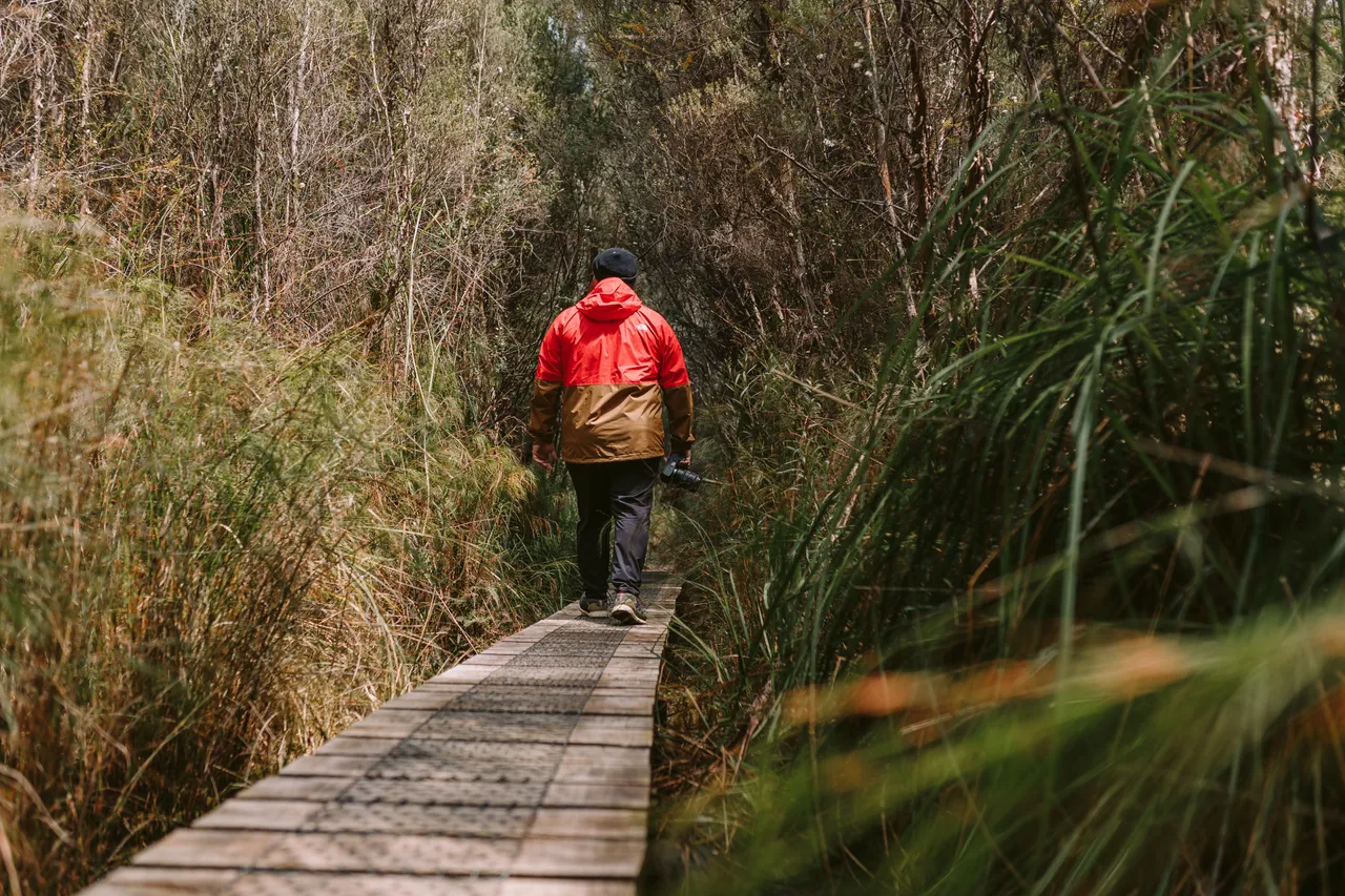 Frenchmans Cap Track