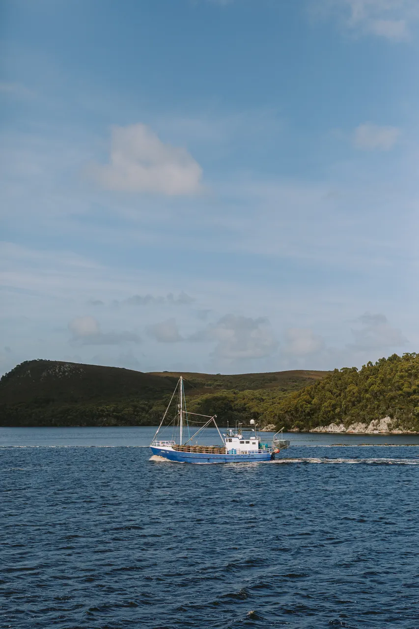 Fishing Boat in Macquarie Harbour