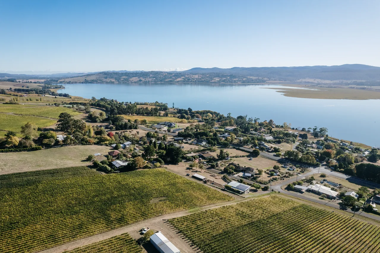Overlooking Utzinger Wines