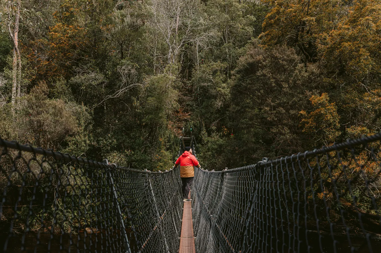 Frenchmans Cap Suspension Bridge