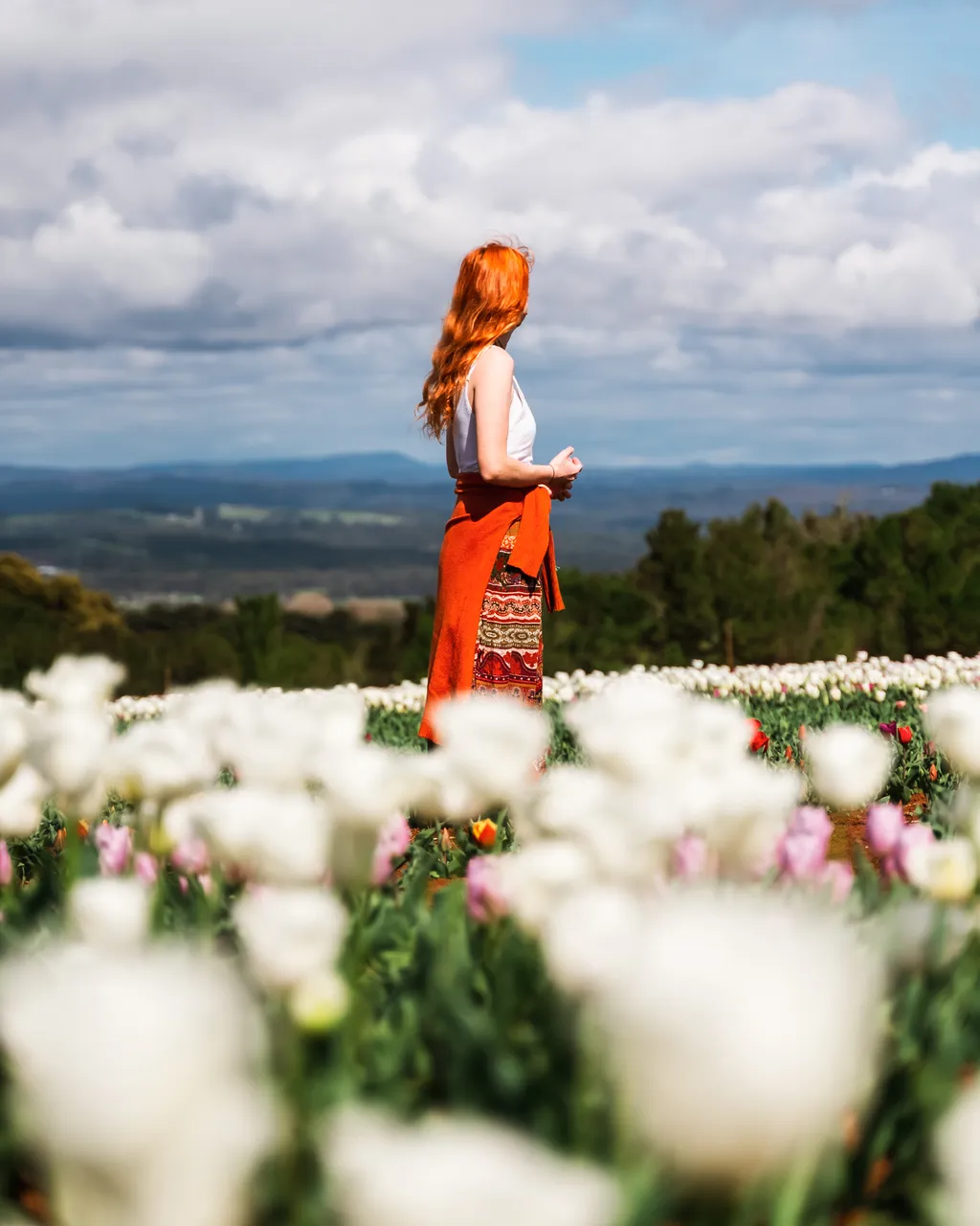 Person Standing in the Table Cape Tulip Field