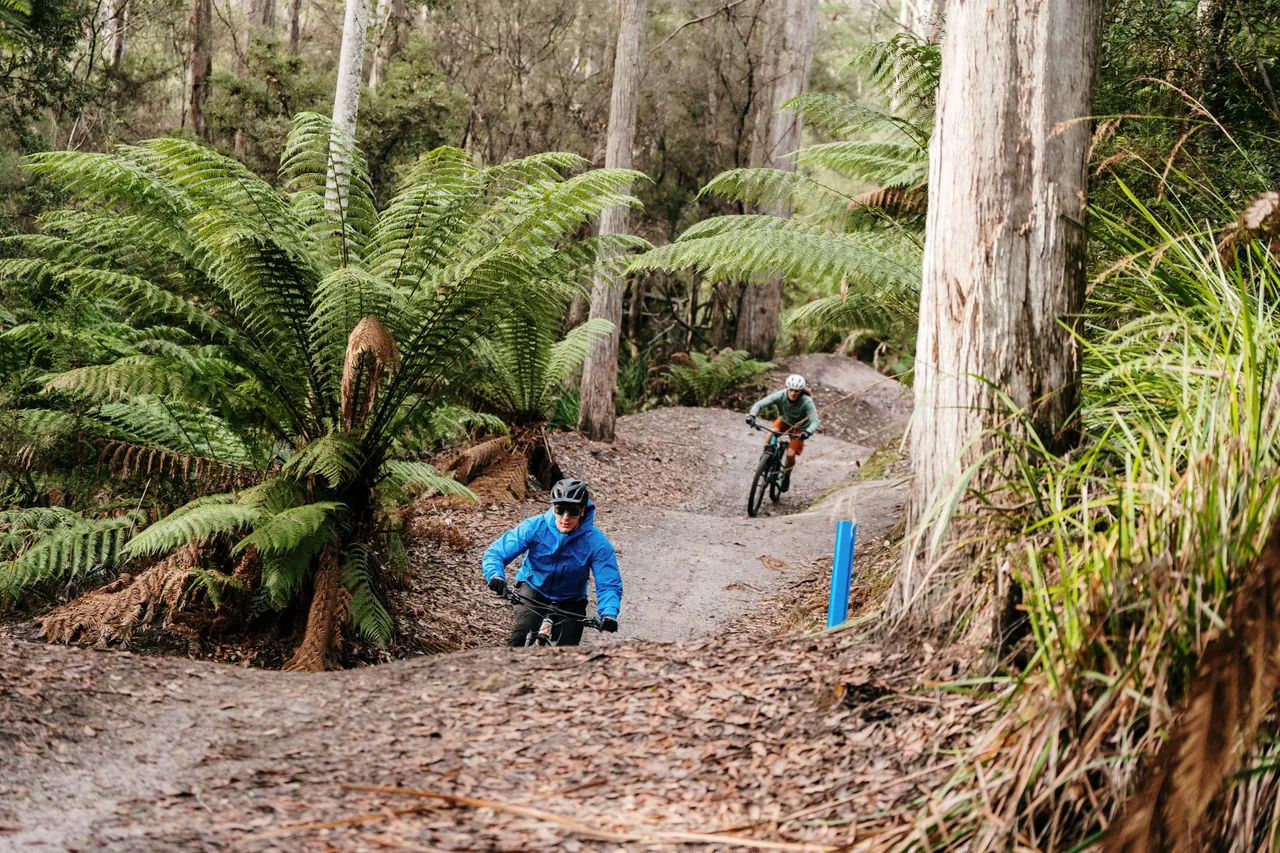 Mountain Biking in Derby