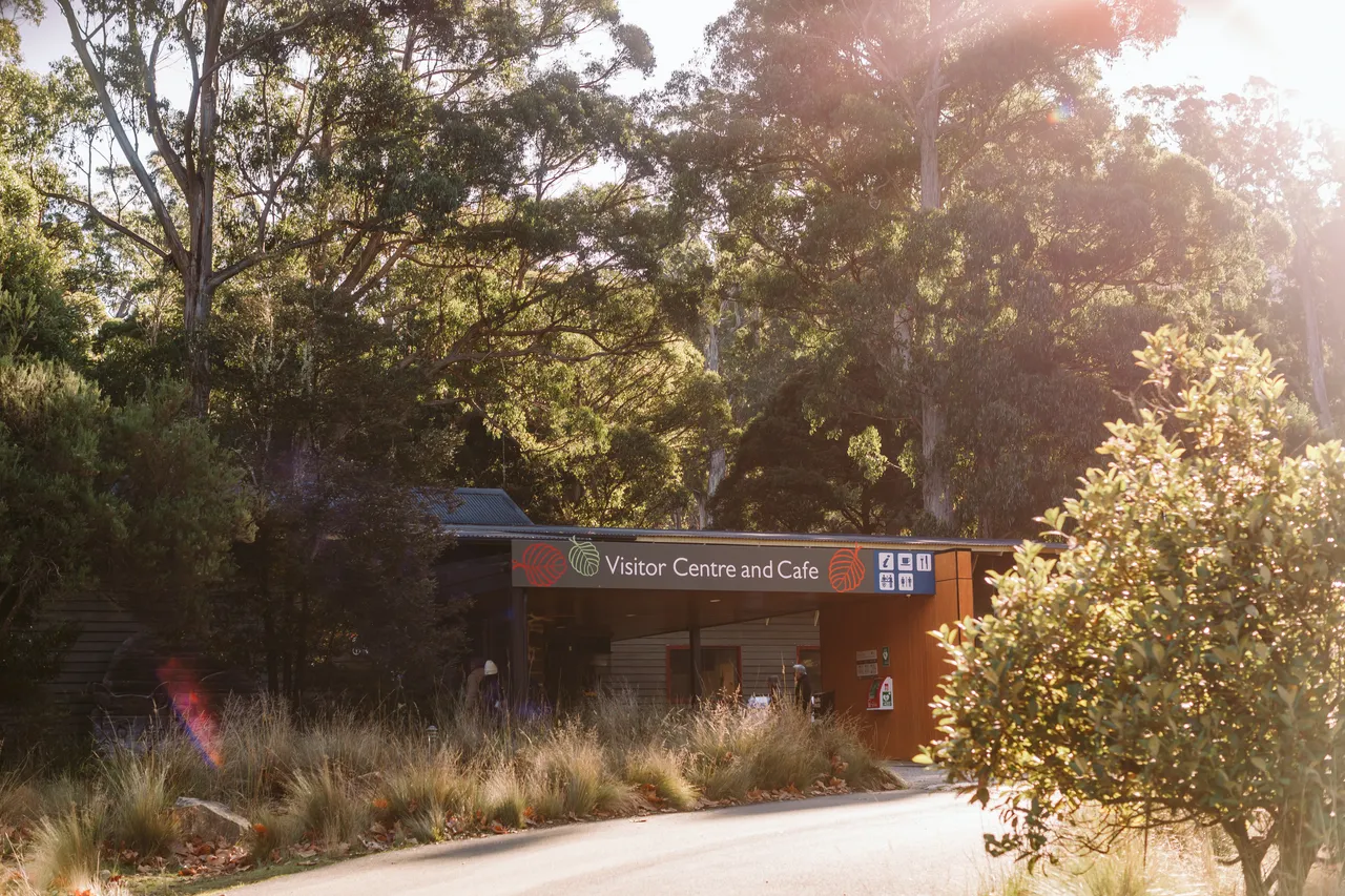 Mt Field National Park Visitor Centre