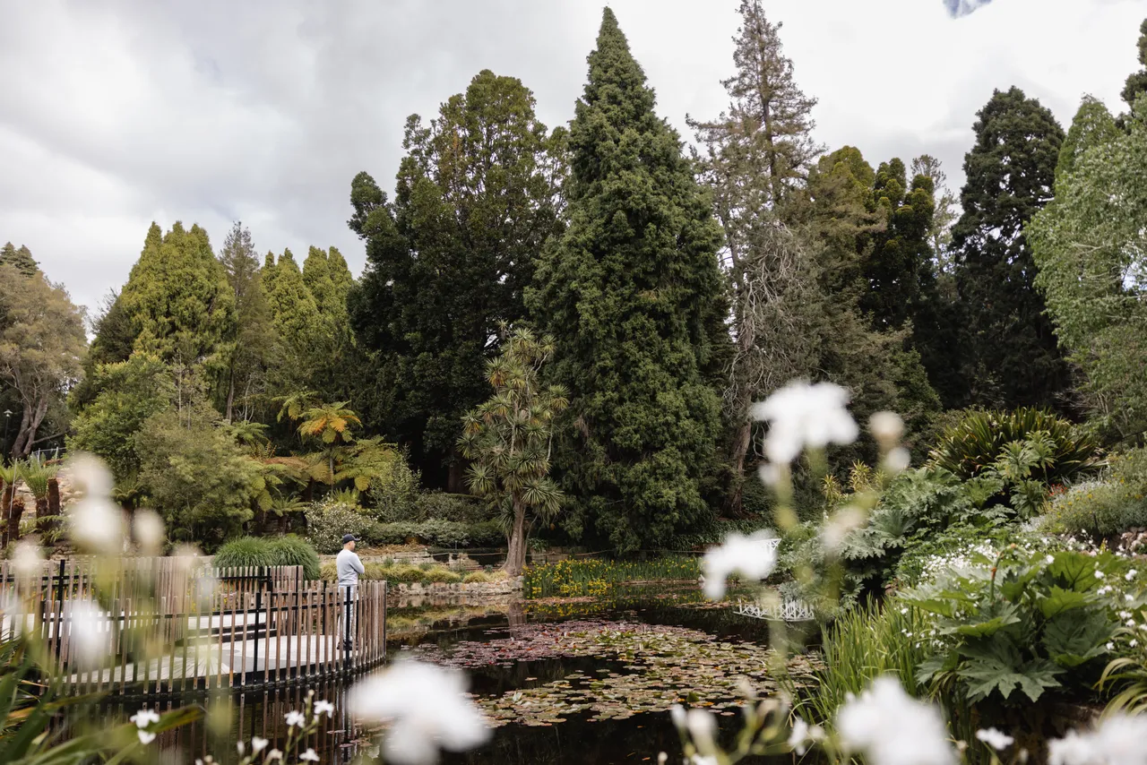 Royal Tasmanian Botanical Gardens