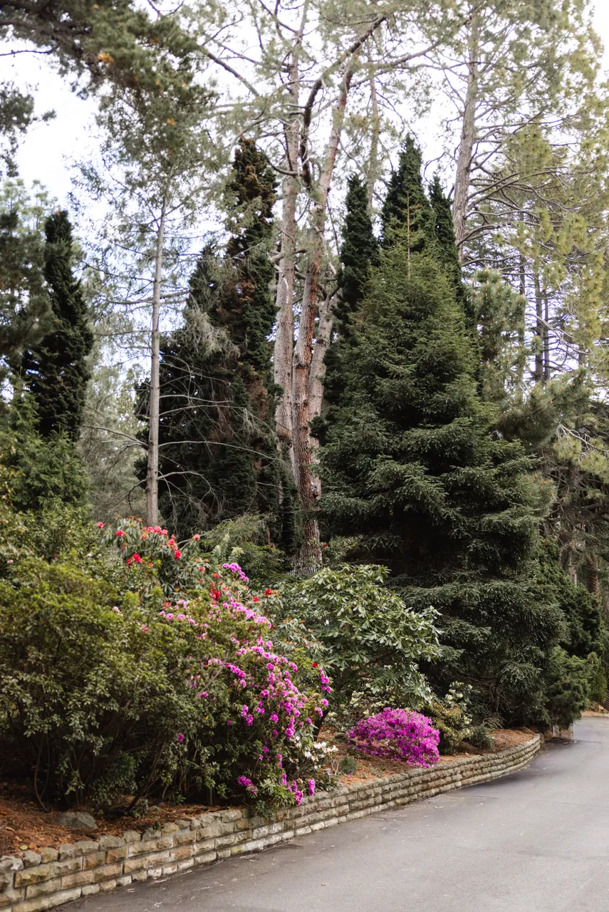 Royal Tasmanian Botanical Gardens