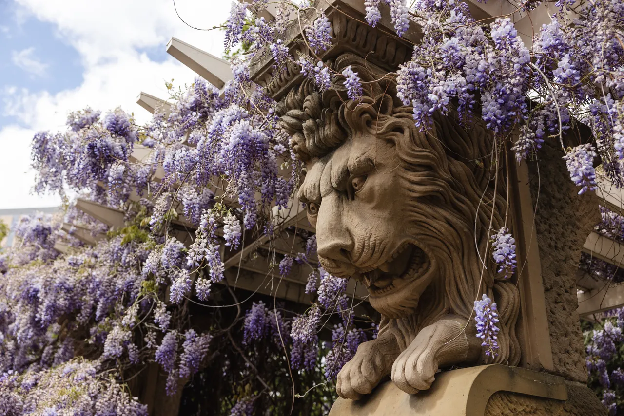 St David's Park in Spring