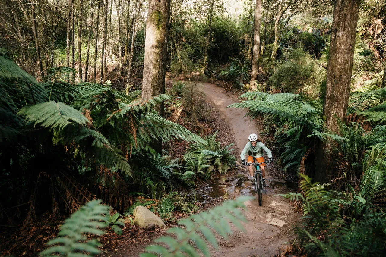Mountain Biking in Derby