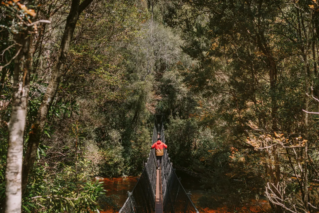 Frenchmans Cap Suspension Bridge