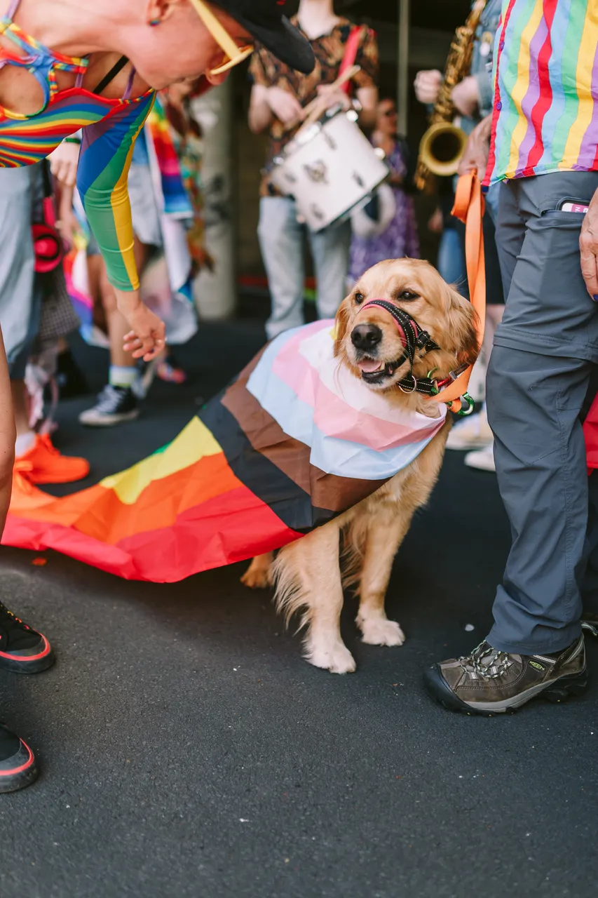 Tas Pride Parade