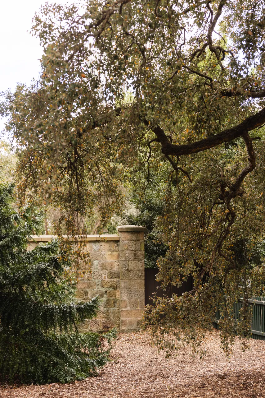 Royal Tasmanian Botanical Gardens