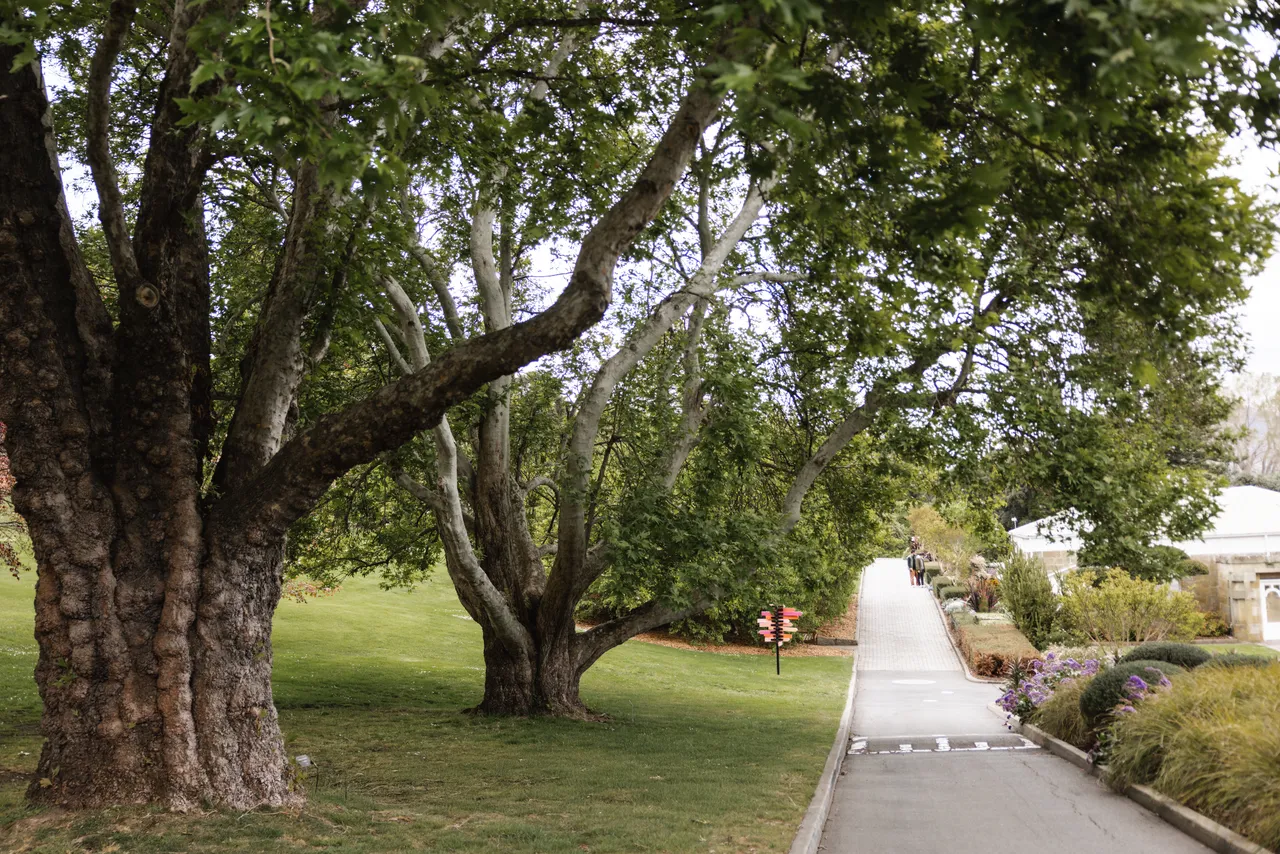 Royal Tasmanian Botanical Gardens