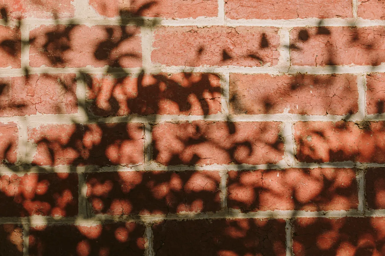 Leaf Shadows on Brick Wall