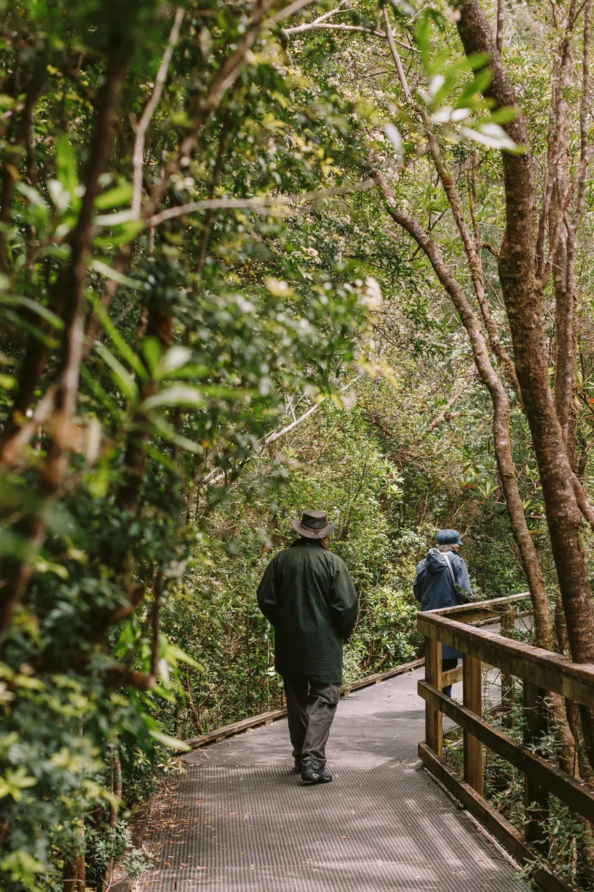 Exploring Heritage Landing
