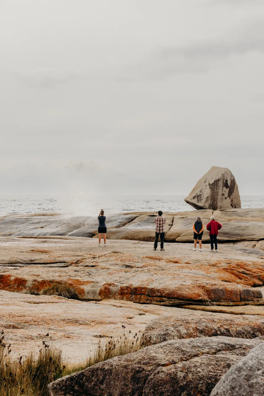 Bicheno Blowhole