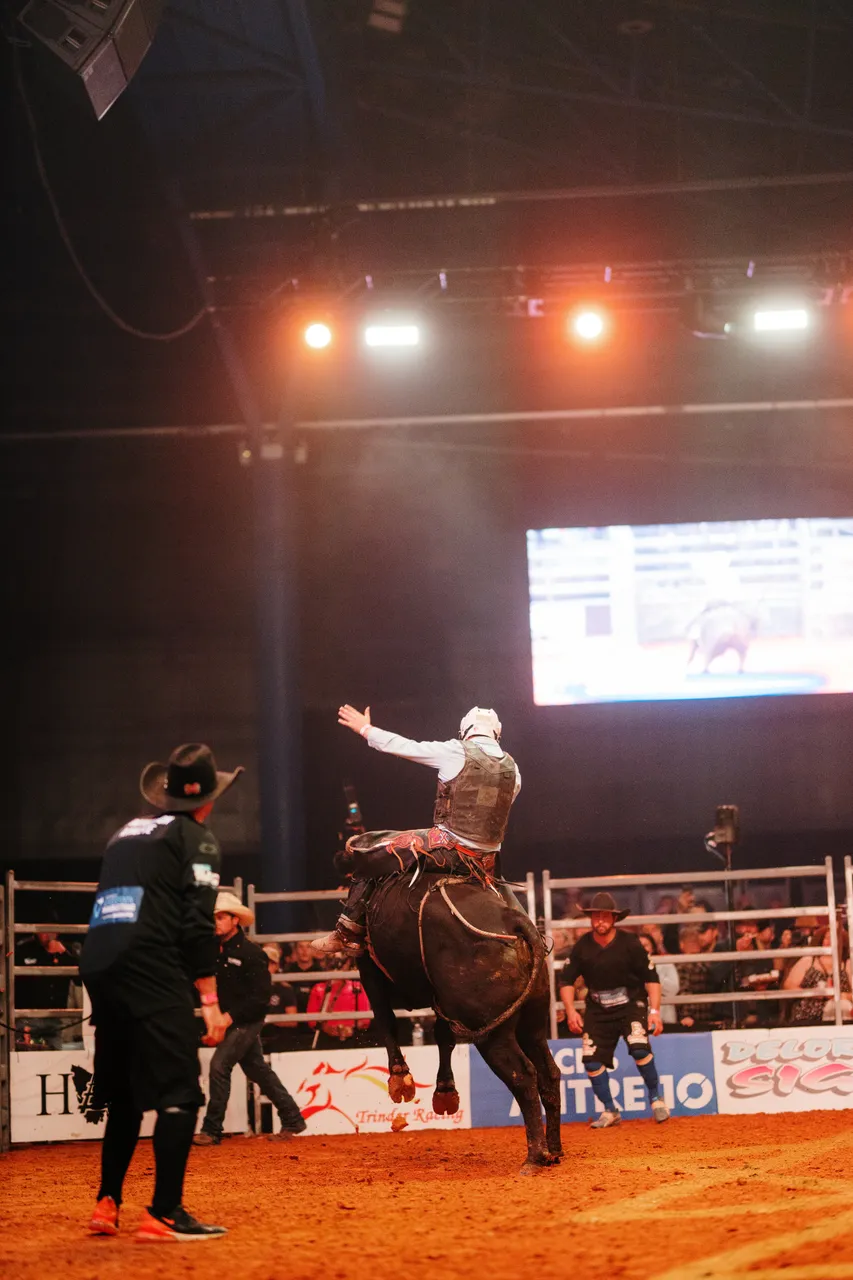 Bull Riding at the Island Stampede Rodeo