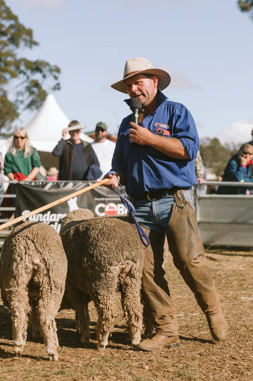 Mustering Sheep at Agfest