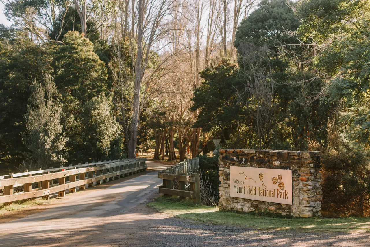 Mount Field Entrance